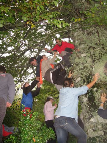 Asturias joven emprenda Parque Redes