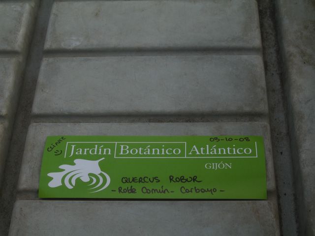 Asturias joven emprenda Jardín Botánico