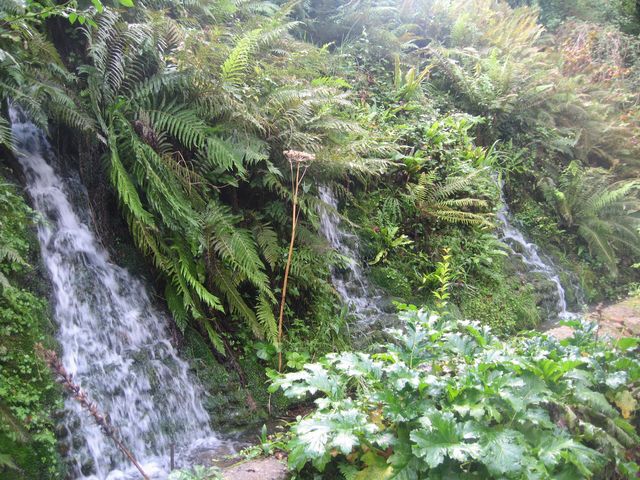 Asturias joven emprenda Jardín Botánico