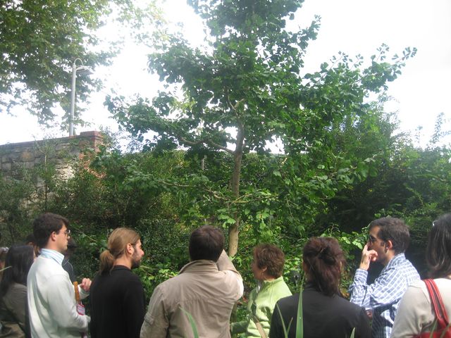 Asturias joven emprenda Jardín Botánico