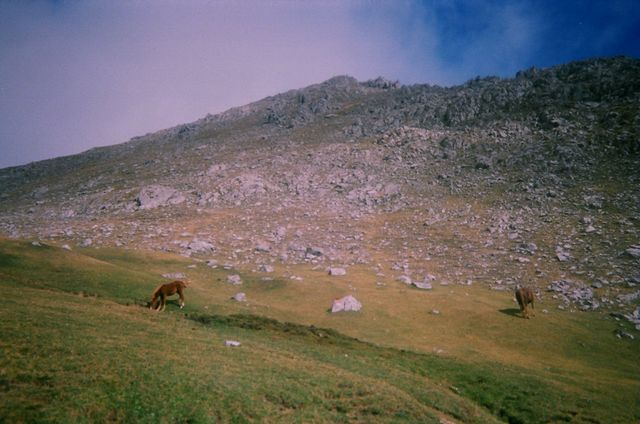 Asturias joven emprenda Parque Ubiña