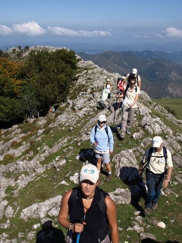 Asturias joven emprenda Orientación Triguero