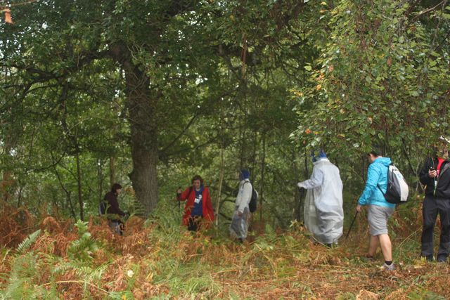 Asturias joven emprenda Ruta del Camín Encantáu