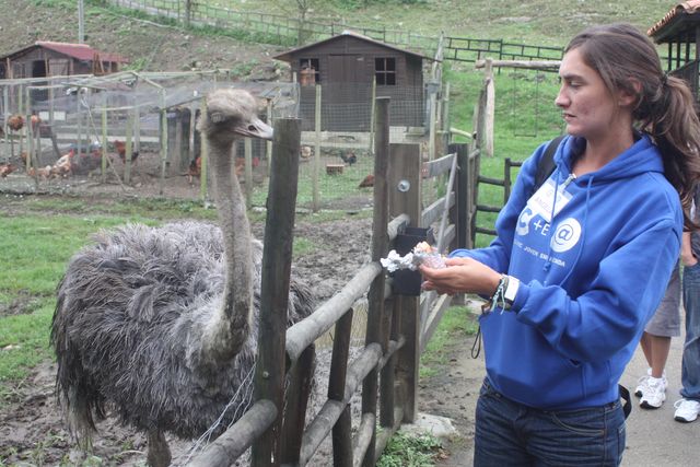 Asturias joven emprenda Quesería Bedón y Molín Tresgrandas