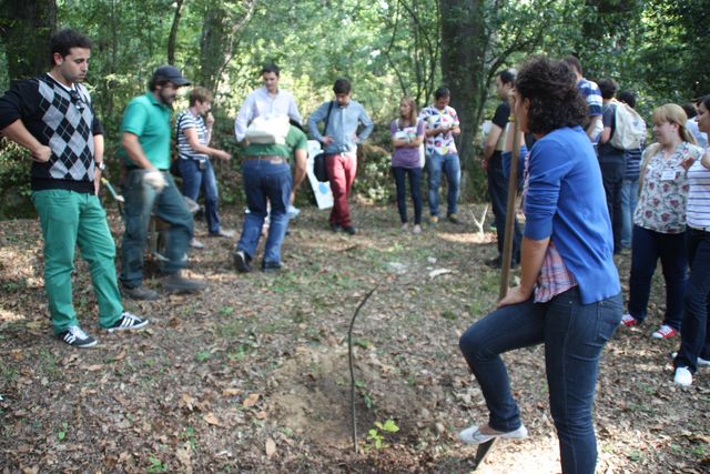 Asturias joven emprenda Gestión medioambiental