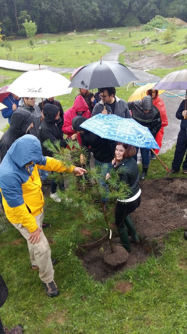 Asturias joven emprenda Botánico