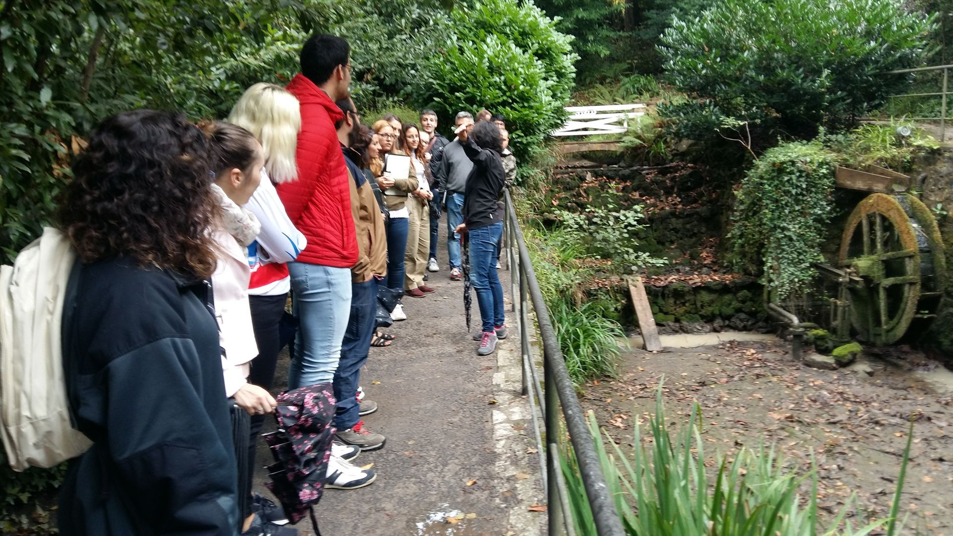 Asturias joven emprenda Botánico