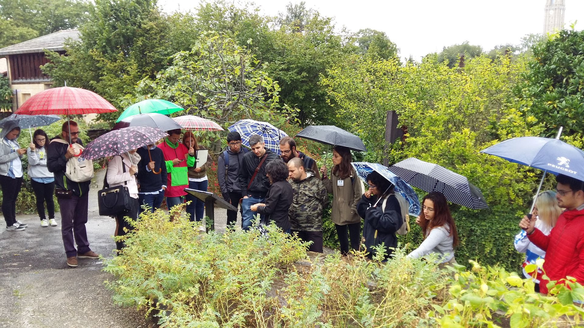 Asturias joven emprenda Botánico