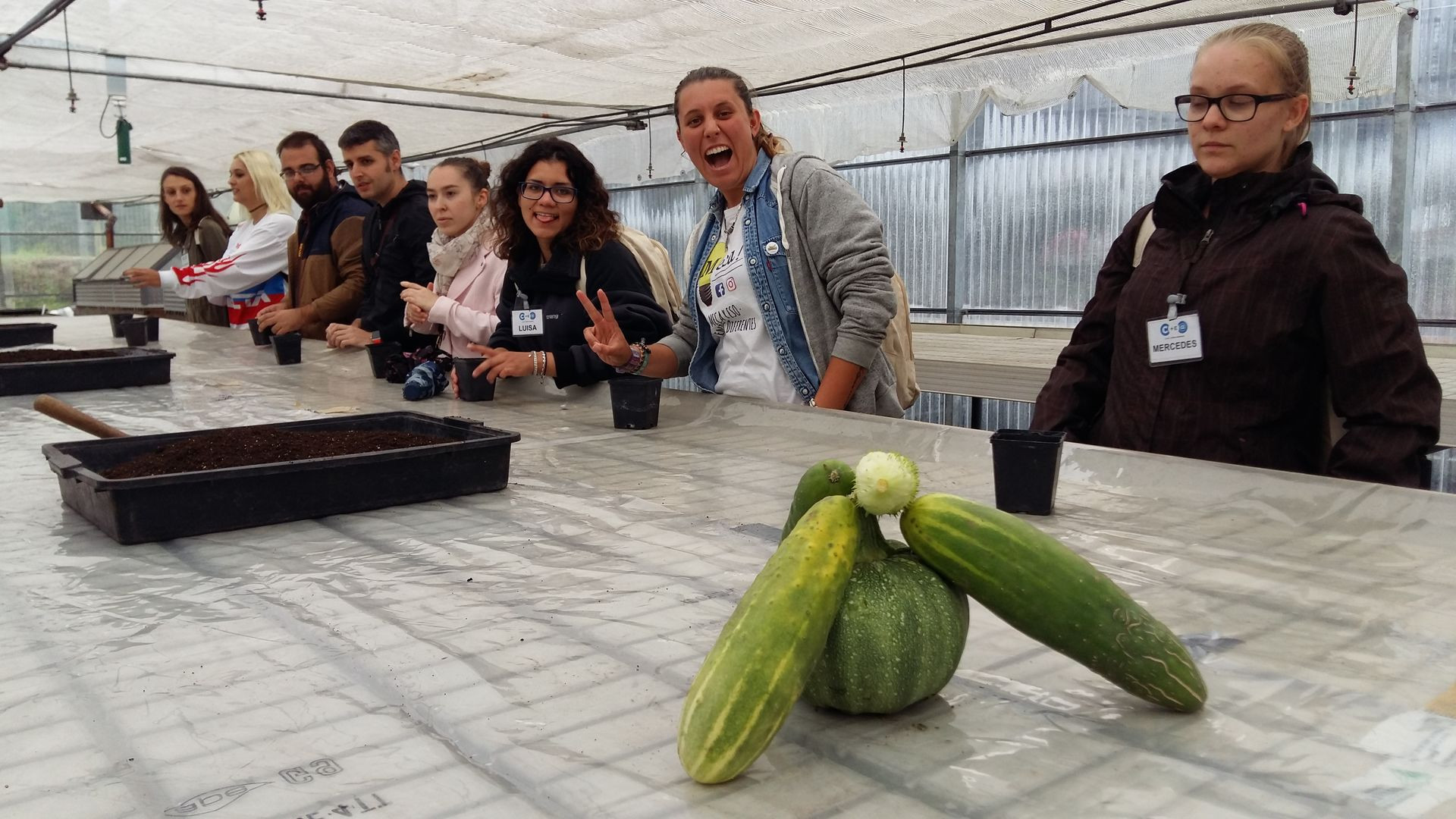 Asturias joven emprenda Botánico