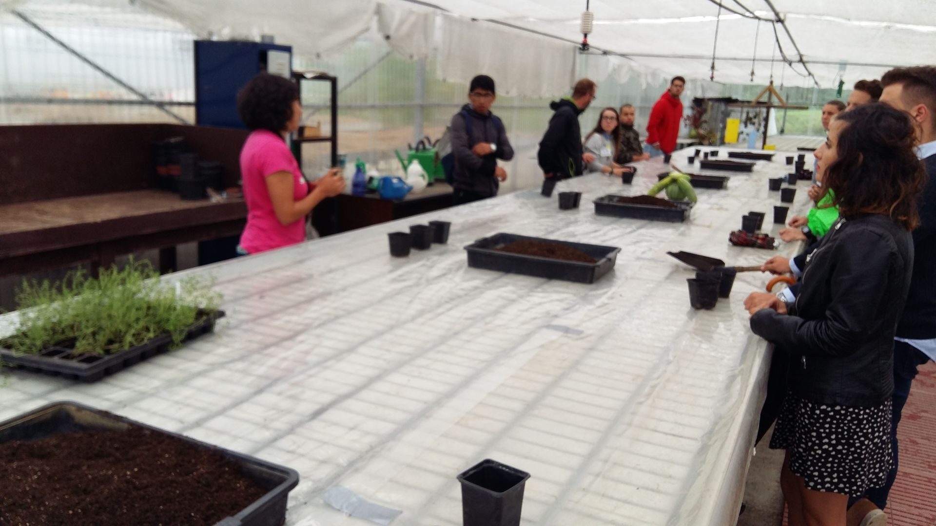 Asturias joven emprenda Botánico