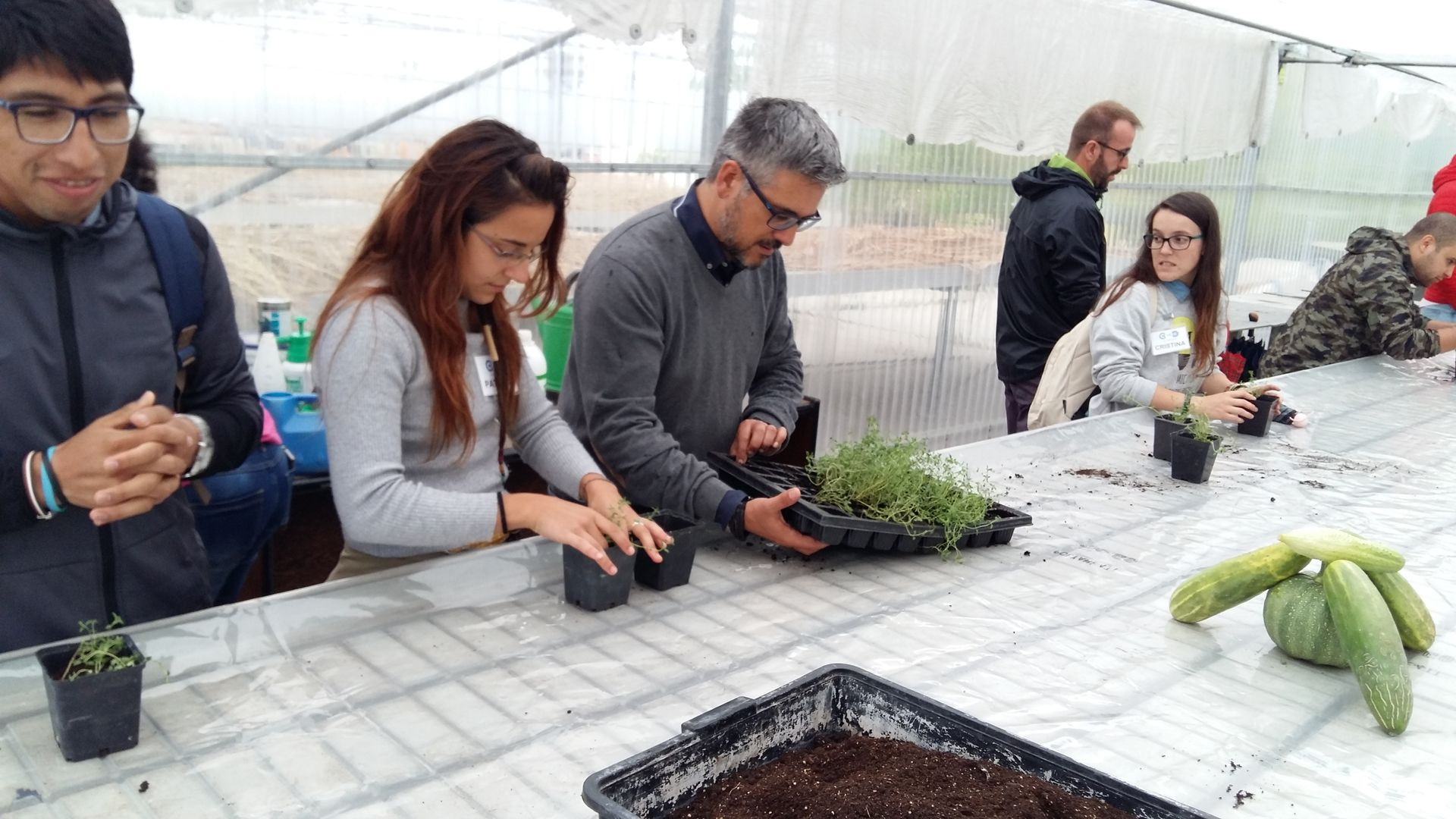 Asturias joven emprenda Botánico