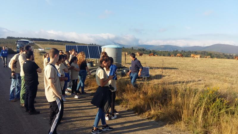 Asturias joven emprenda Ganadería vacuno Quintá