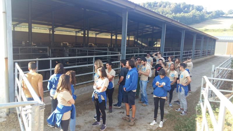 Asturias joven emprenda Ganadería vacuno Quintá