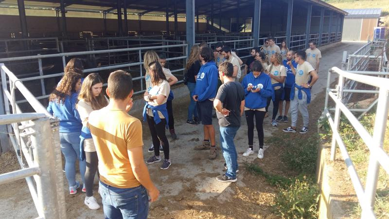 Asturias joven emprenda Ganadería vacuno Quintá