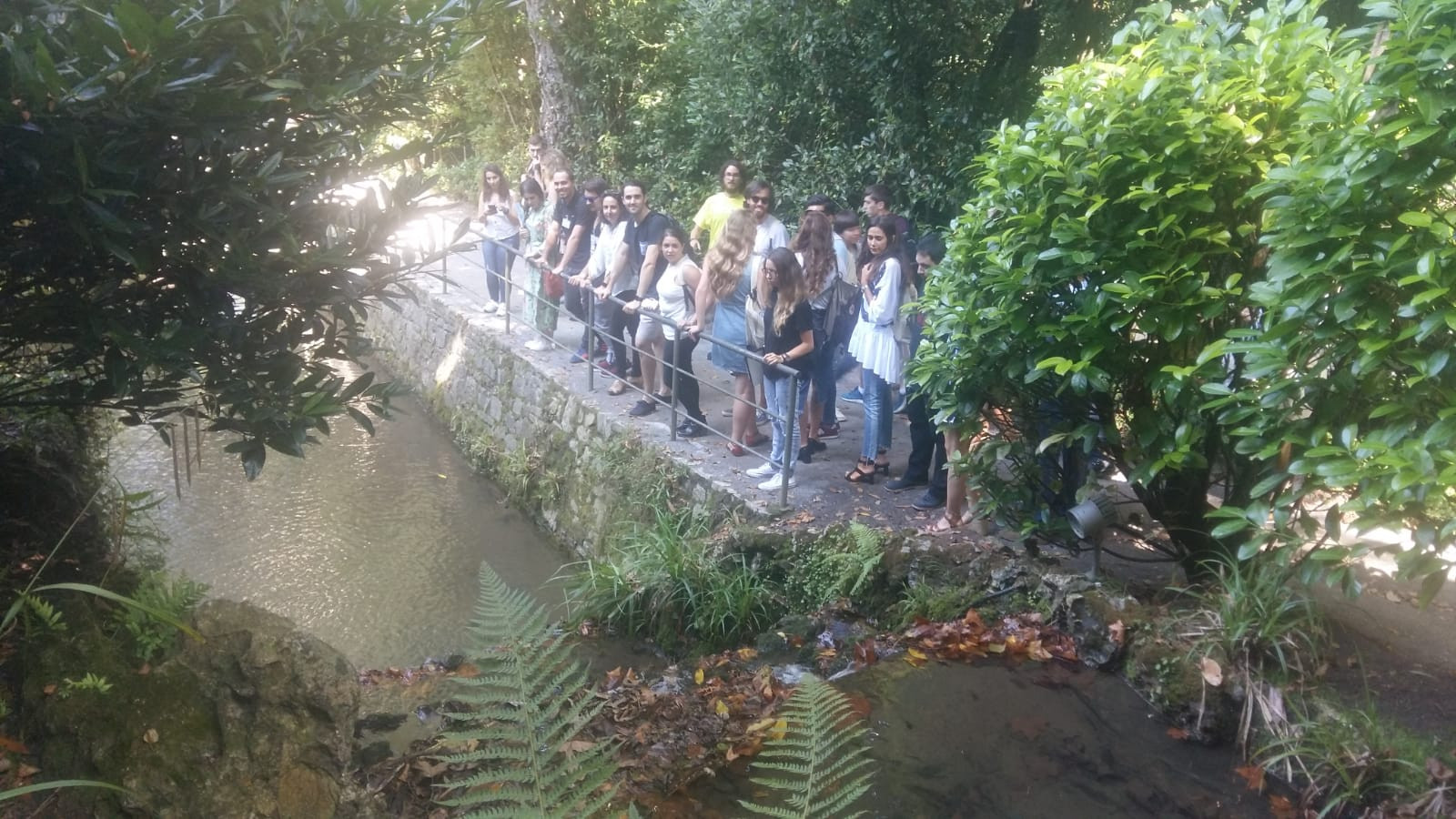 Asturias joven emprenda Jardín botánico