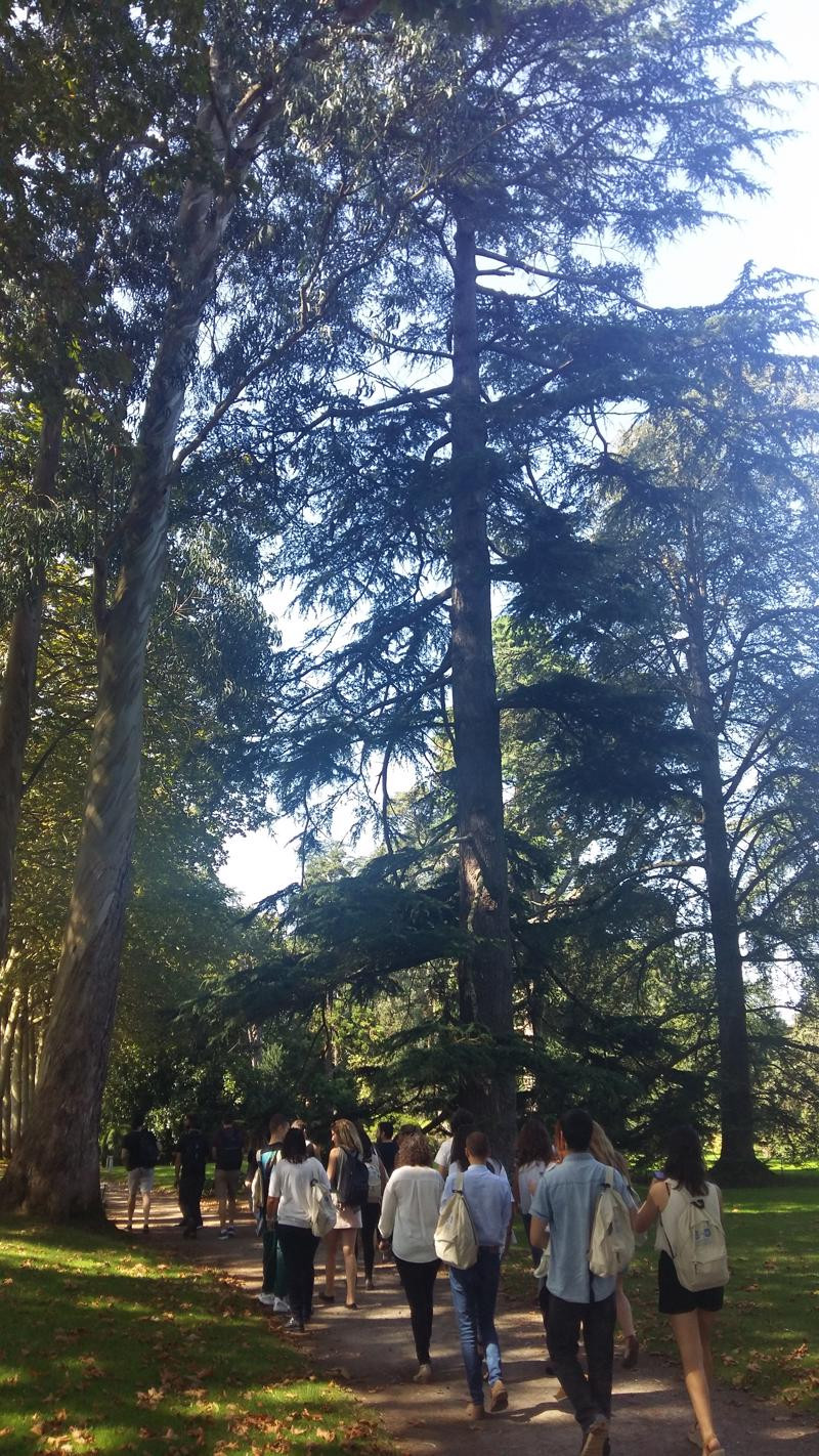 Asturias joven emprenda Jardín botánico