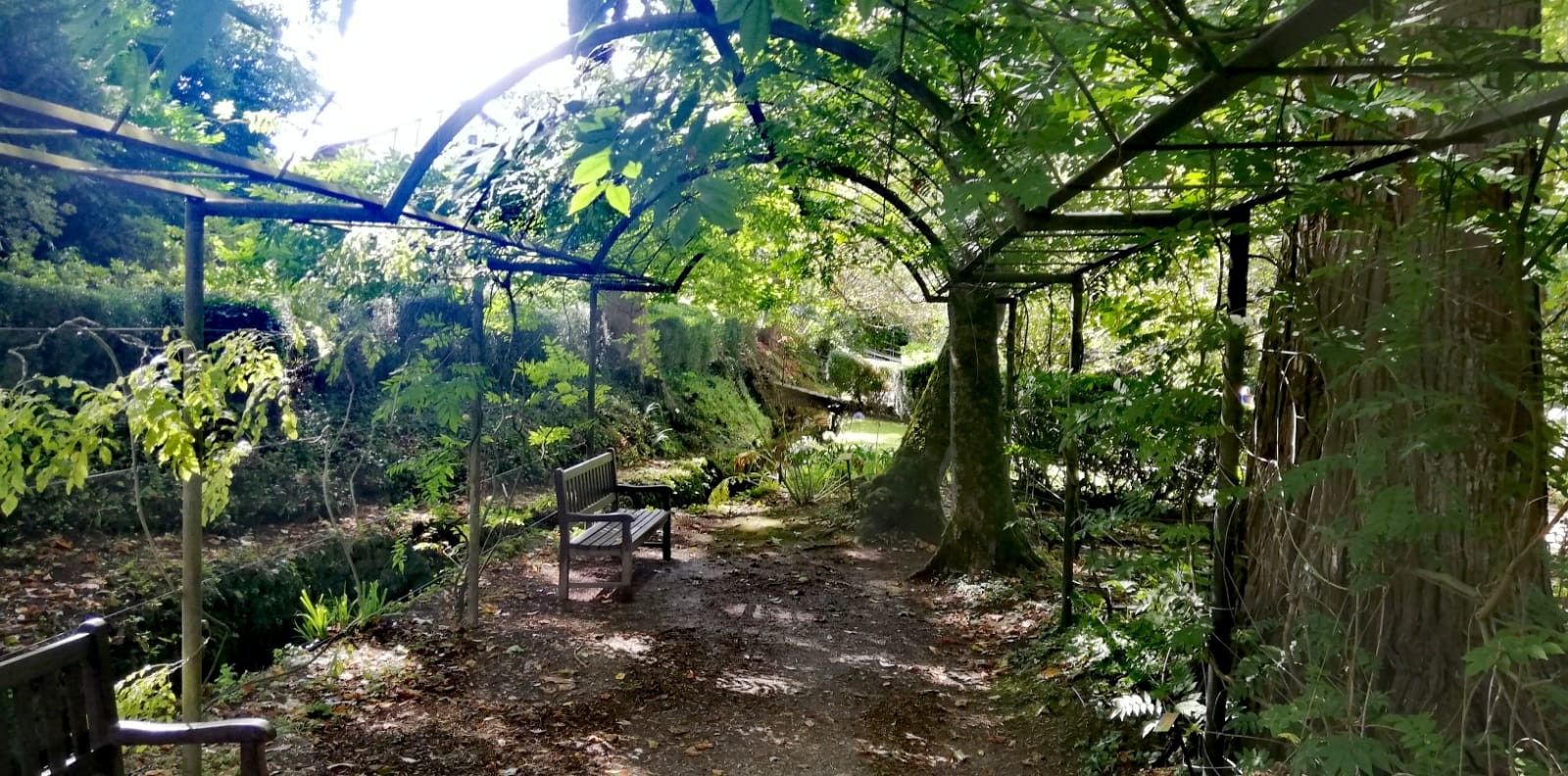 Asturias joven emprenda Jardín Botánico