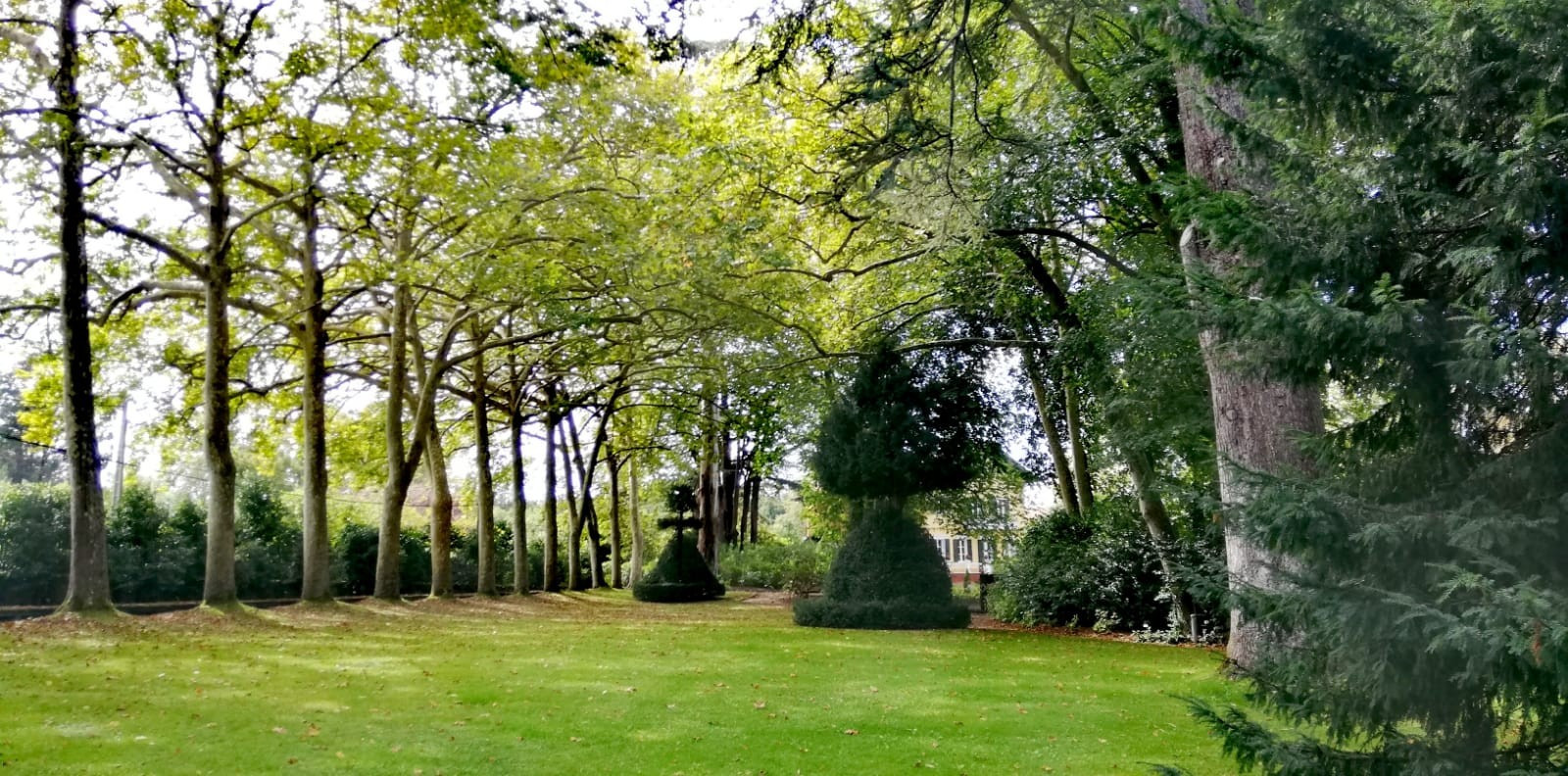 Asturias joven emprenda Jardín Botánico