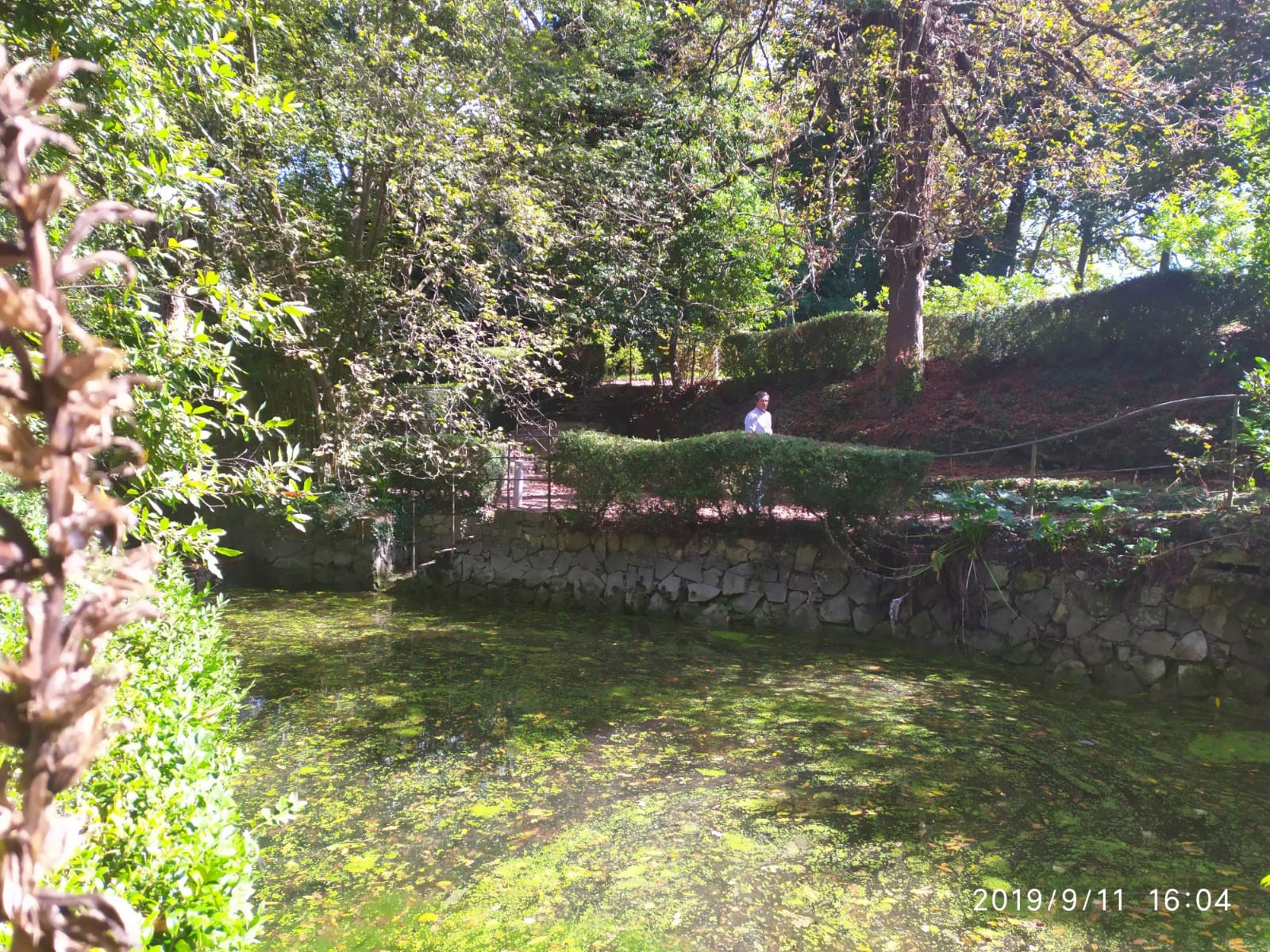 Asturias joven emprenda Jardín Botánico