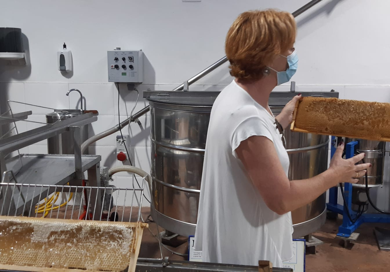 Asturias joven emprenda Visita Miel Rio Aller