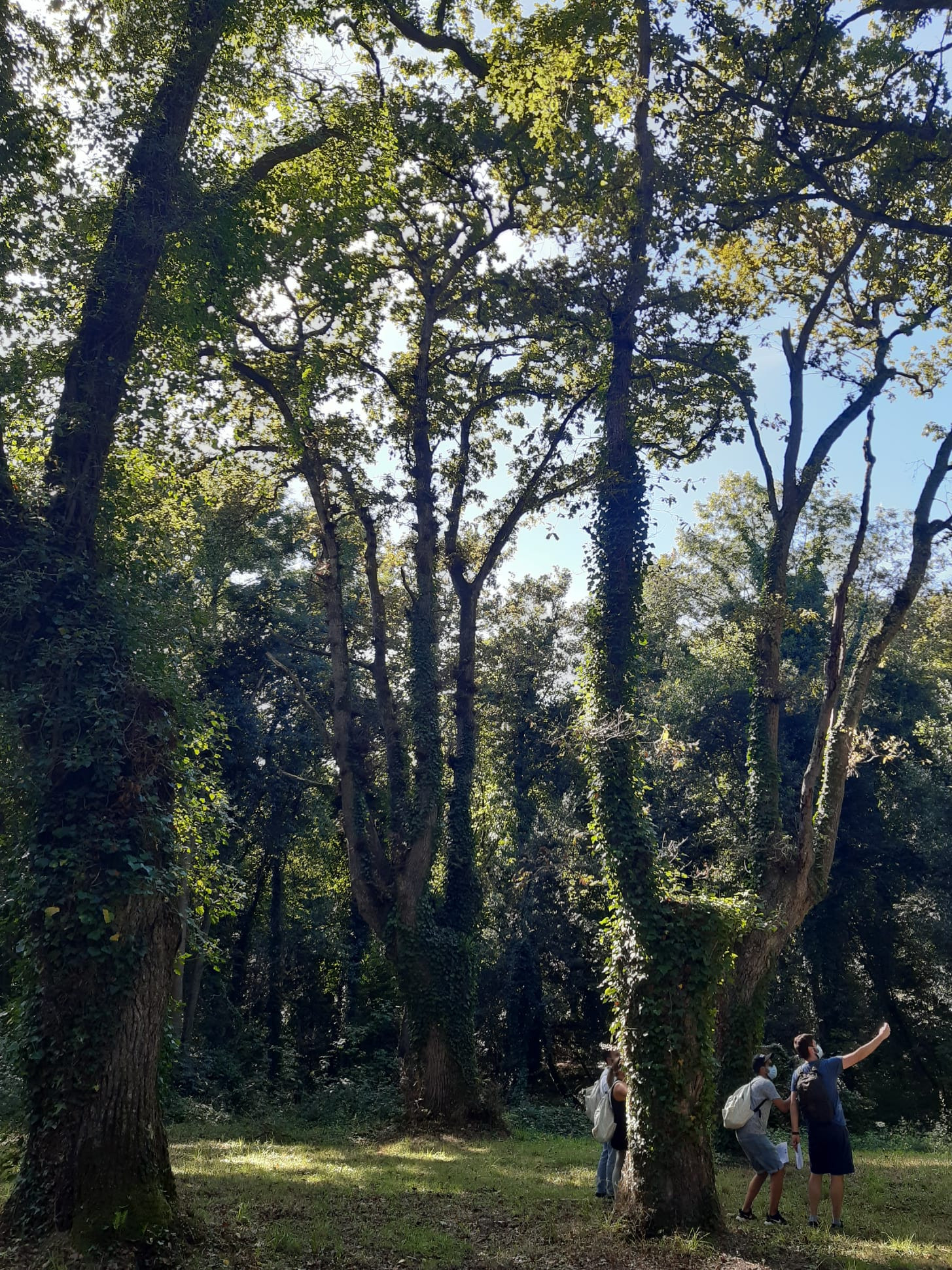 Asturias joven emprenda Búsqueda tesoro