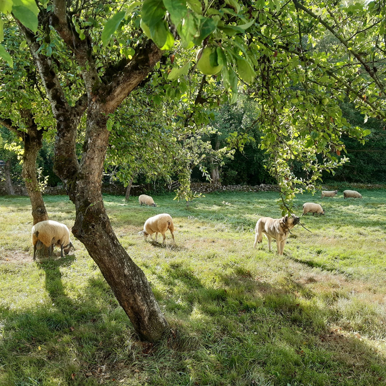 Asturias joven emprenda Ruta Moal a Tablizas