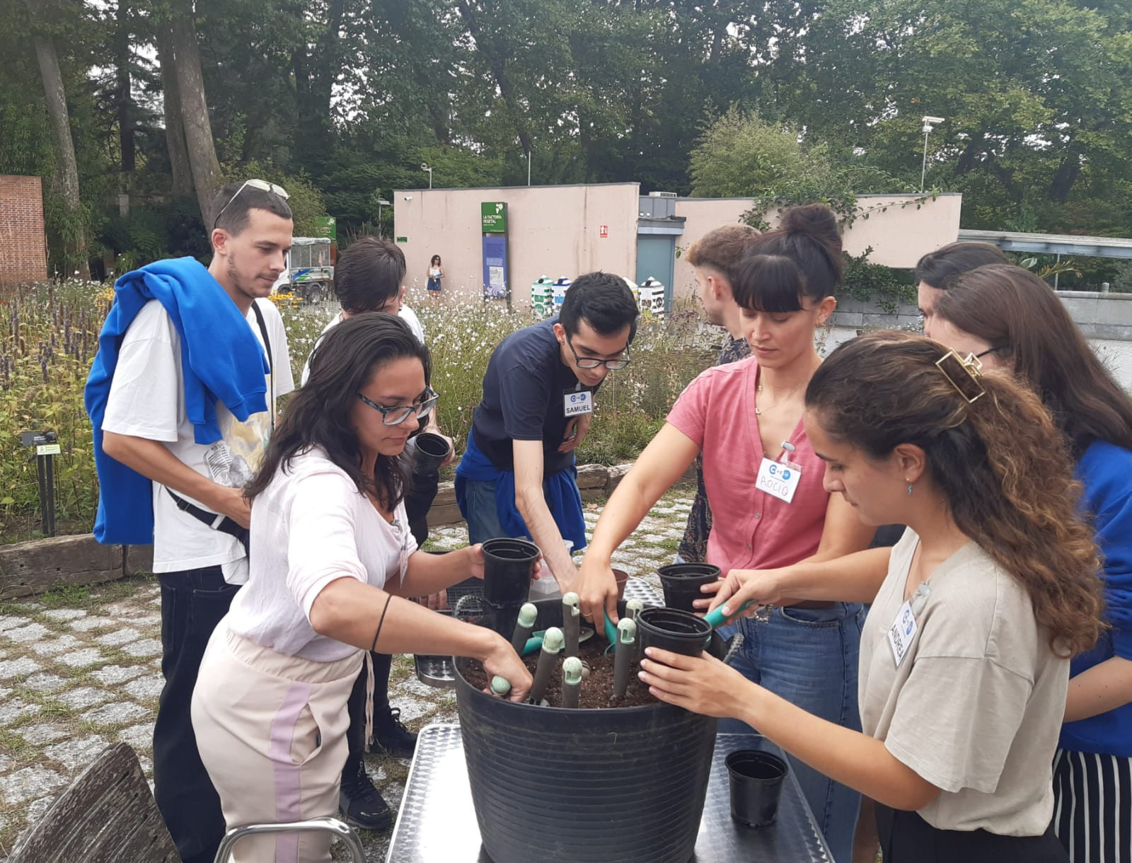 Clinic Joven emprenda Plantación árbol