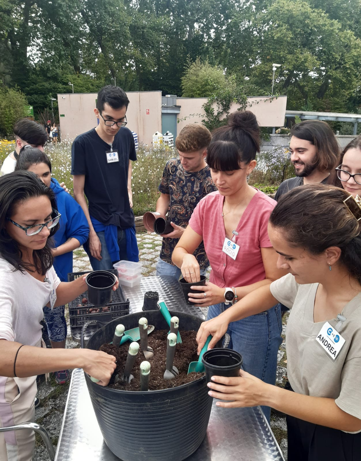 Asturias joven emprenda Plantación árbol