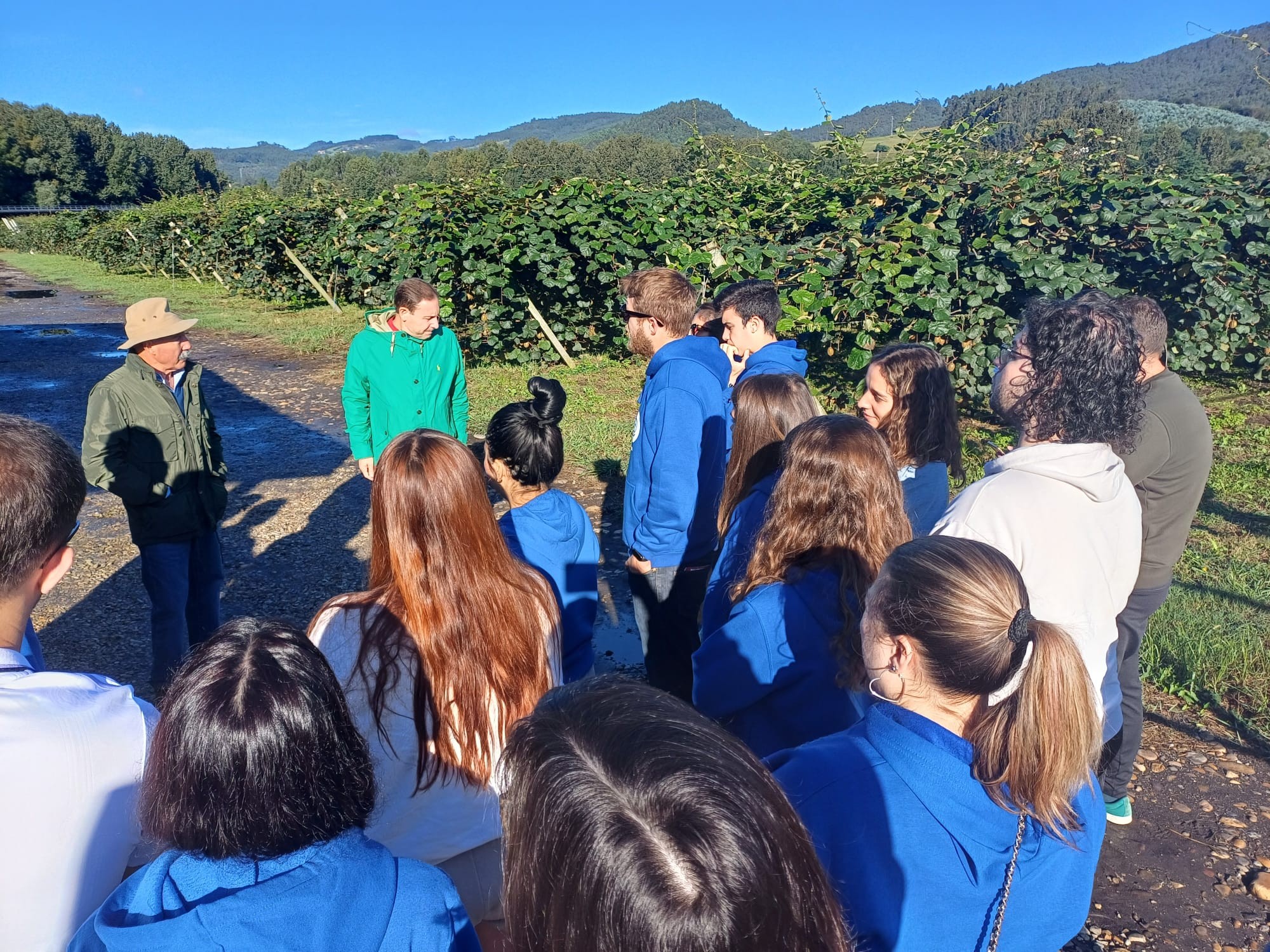 Asturias joven emprenda Plantación Kiwis