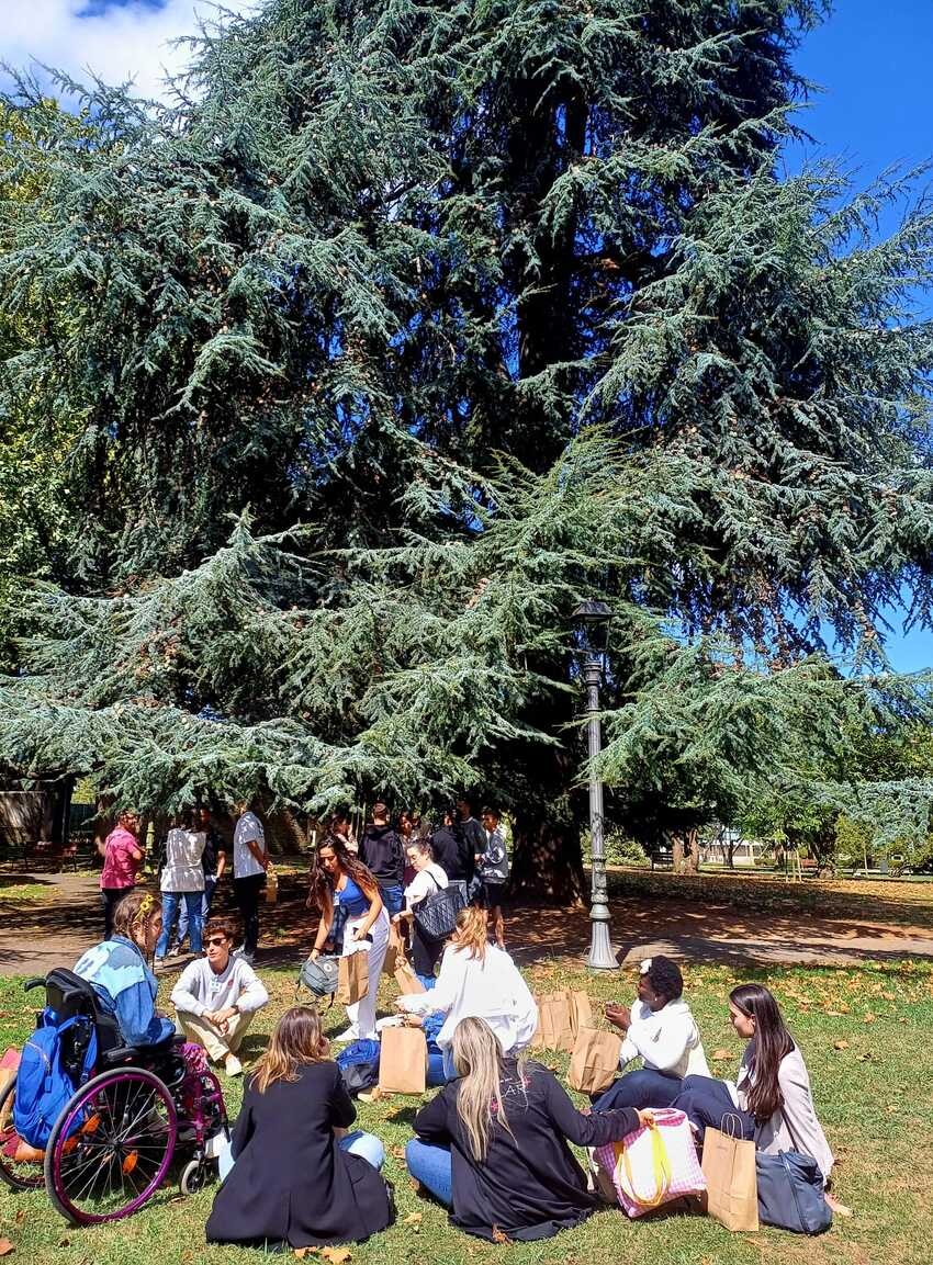 Clinic Joven emprenda Comida