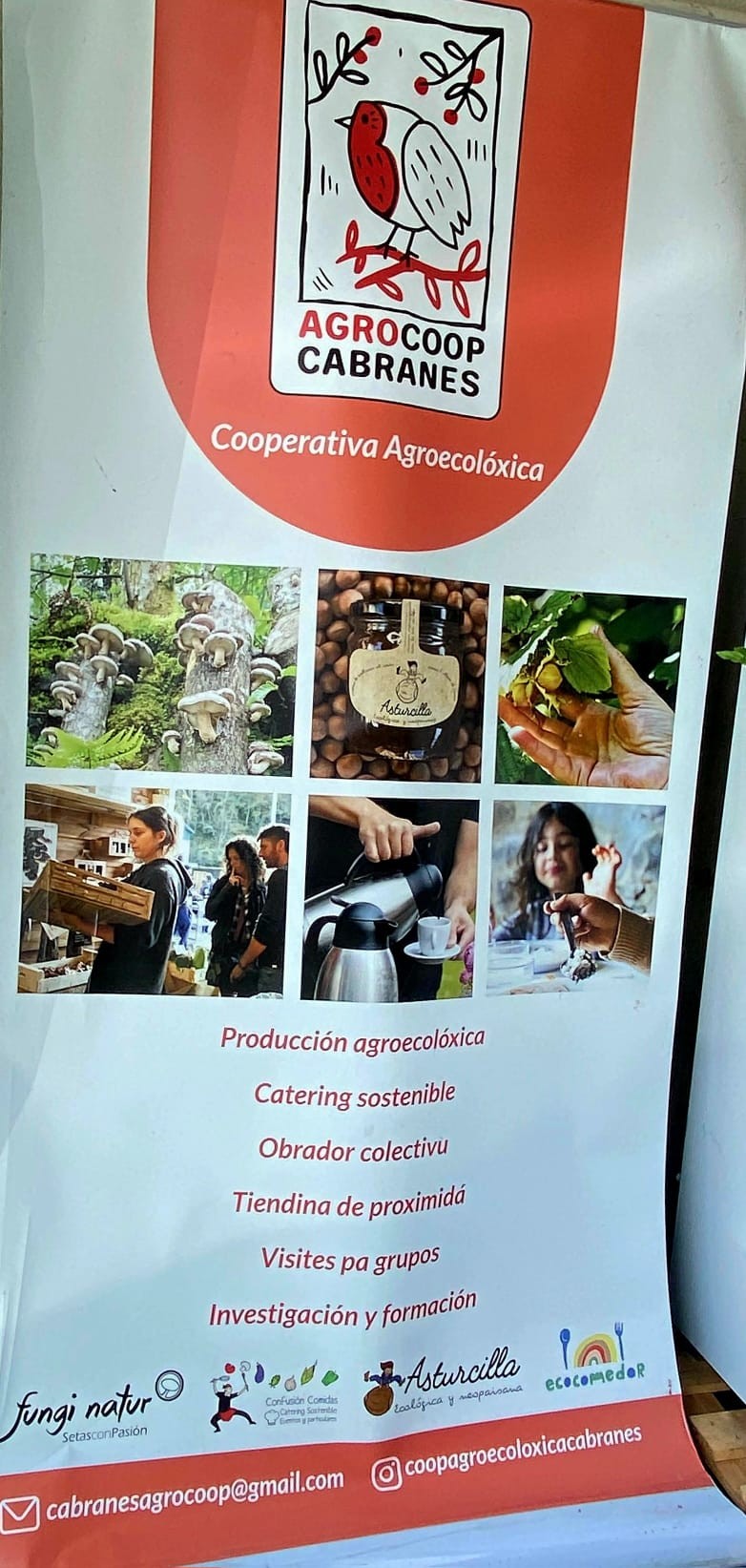 Asturias joven emprenda Visitas empresas