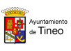 Ayuntamiento Tineo